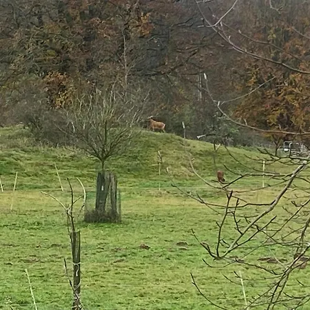 Schwedenhaus Fridhem Huegelglueck Mit Weitblick Montjoie