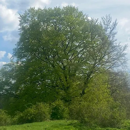Hébergement de vacances Schwedenhaus Fridhem Huegelglueck Mit Weitblick Montjoie