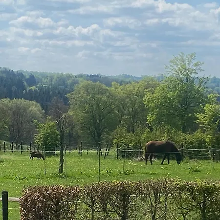 Schwedenhaus Fridhem Monschau- Weitblick