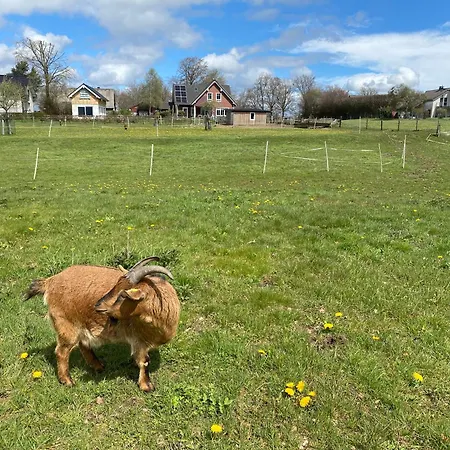 Hébergement de vacances Schwedenhaus Fridhem Huegelglueck Mit Weitblick