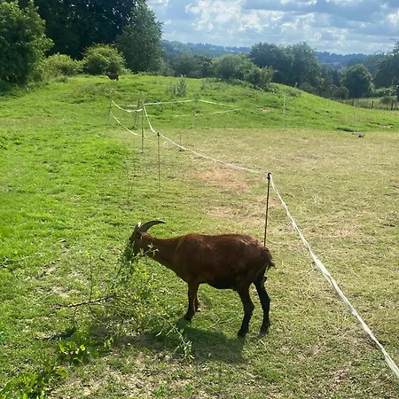 Schwedenhaus Fridhem Huegelglueck Mit Weitblick Hébergement de vacances *