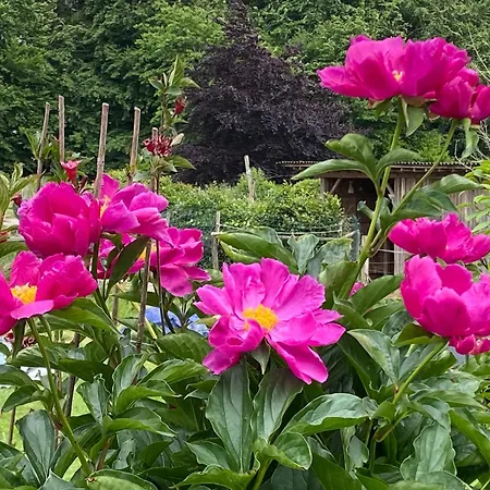 Prázdninový dům Schwedenhaus Fridhem Monschau- Weitblick Monschau