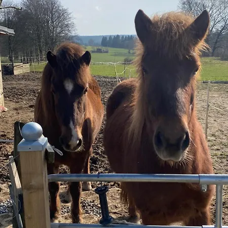 Schwedenhaus Fridhem Huegelglueck Mit Weitblick *