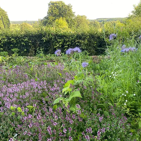 Schwedenhaus Fridhem Monschau- Weitblick Σπίτι διακοπών