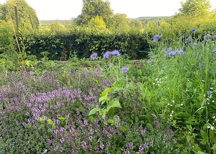 Schwedenhaus Fridhem Monschau- Weitblick Feriehus